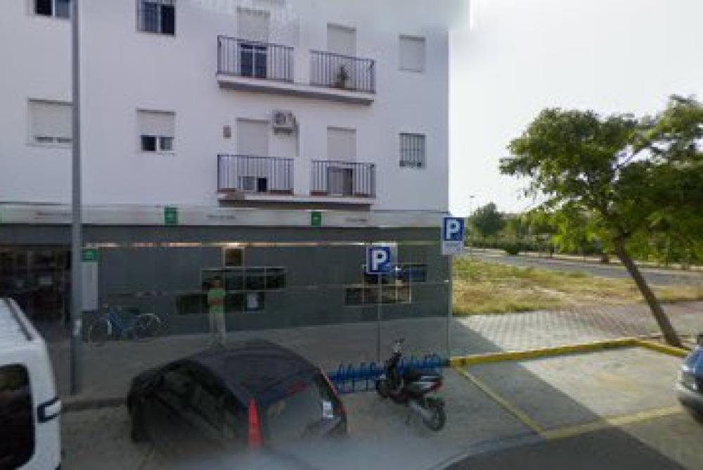 SEPE Los Palacios