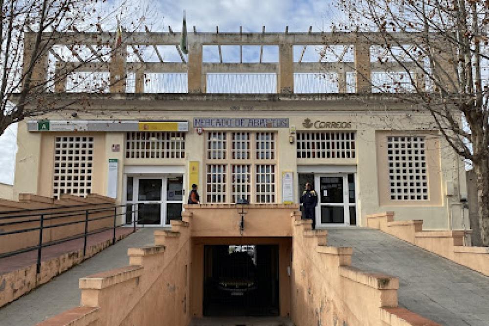 SEPE Pinos Puente
